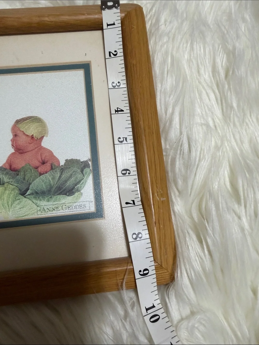 Anne Geddes Cabbage Babies Framed Print - Green and Tan